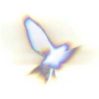 海明Dev
