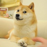 18万哥