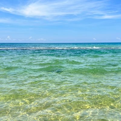 Overseas纵横四海