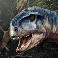 Chicxulub 希克苏鲁伯