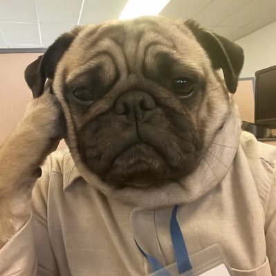 俊哥 Felix