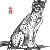 黄老邪 -Johnson