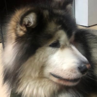 Markleeee