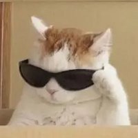 叶知秋🐱