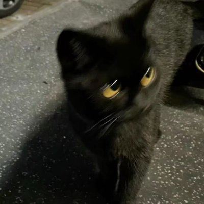 Vincent