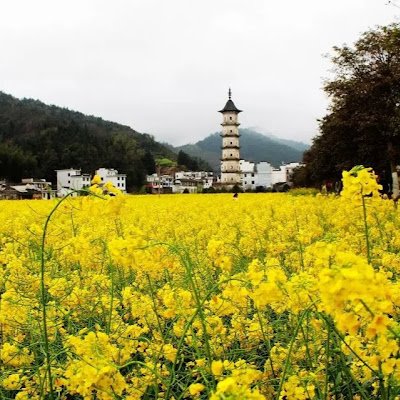 zheng