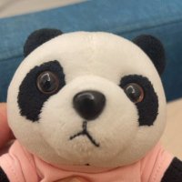 迷思拆解_Panda🐼🐼