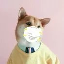 程序员Left