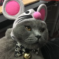 リョウ・老梁