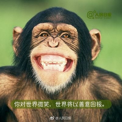 🇨🇳 大策复盘