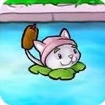猫尾草Conr