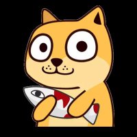 鱼本聪（背包客🎒）