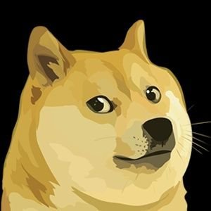 光头狗头