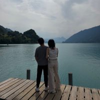 土三哥观察分享