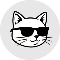 冷酷小猫 IcyCat