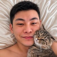 阿米爱猫咪