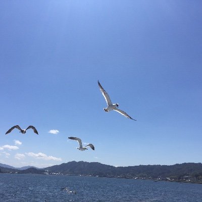 戲水渔
