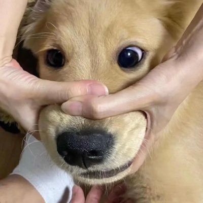 想赚钱的坤