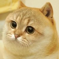 lidang 立党 （劝人卖房/学CS/买SP500/纳100/OpenAI/Anthrop第一人）