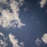溜达鸡