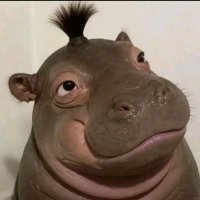 new