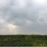 一叶知