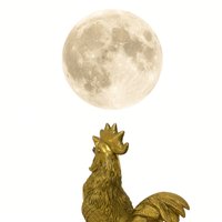 吉荔