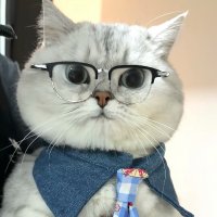 奋斗强哥