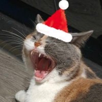清凤