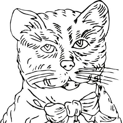 徐老猫