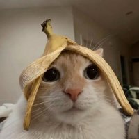 宗介Sosuke