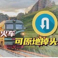 高级分析师