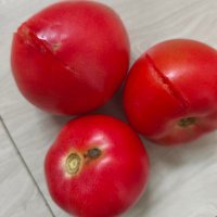 三个烂柿子