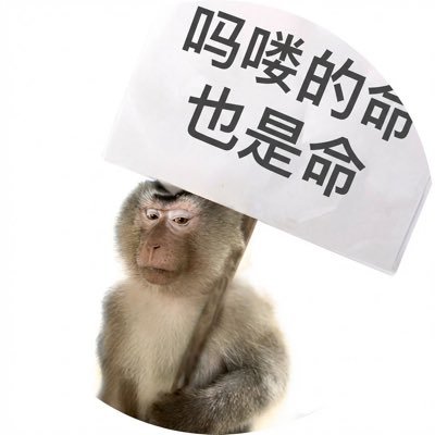 阿里嘎多美羊羊桑