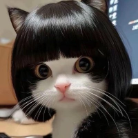 叉叉