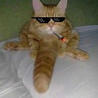 超级飞行员
