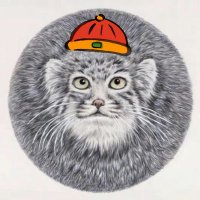 吴二棒