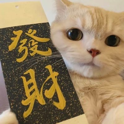 猫神